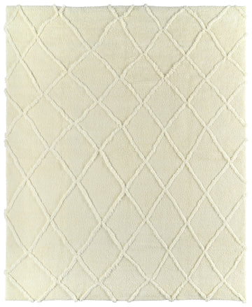 Darya Handloom Rug - 02